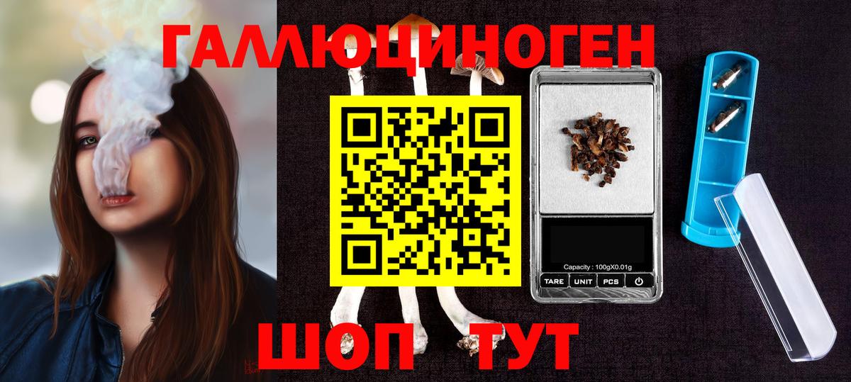 Псилоцибиновые грибы Psilocybine cubensis Среднеуральск
