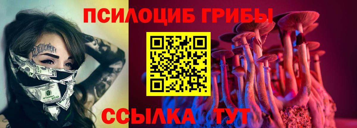 Галлюциногенные грибы Cubensis  Вход с VPN  Среднеуральск  Псилоцибиновые грибы мицелий 